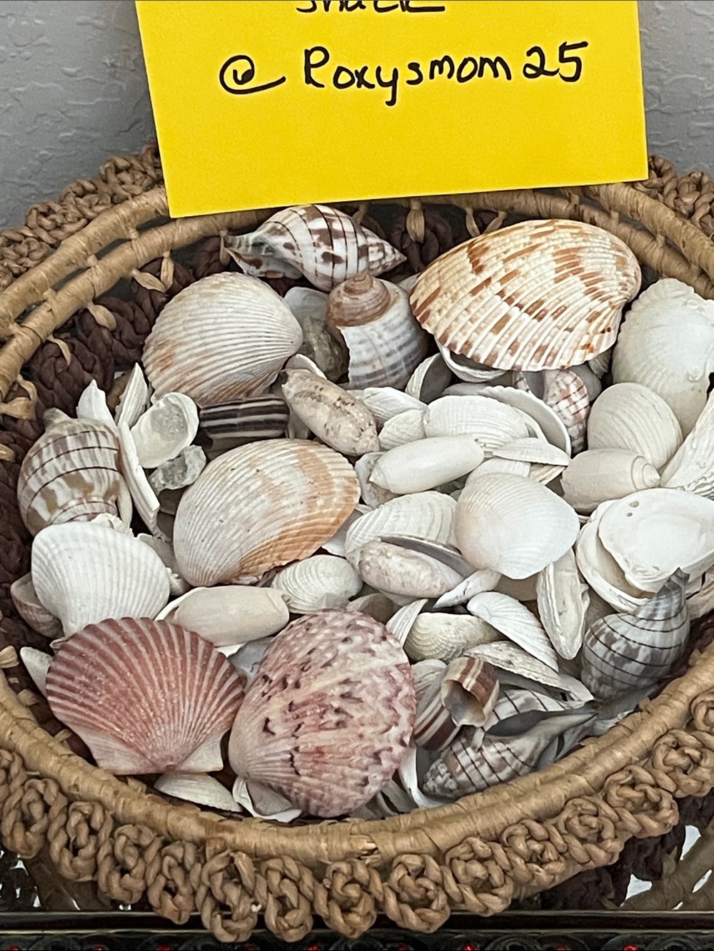 Mixed Natural Seashells Assortment - Neutral & Pink Tones